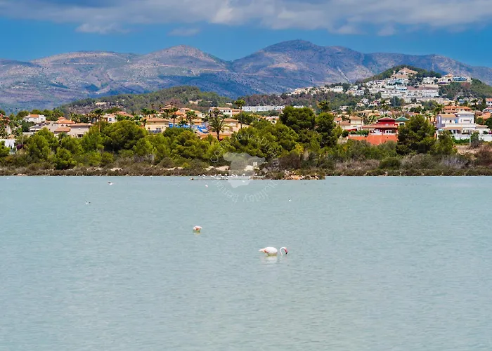 Sabater - Costablancadreams * Calp